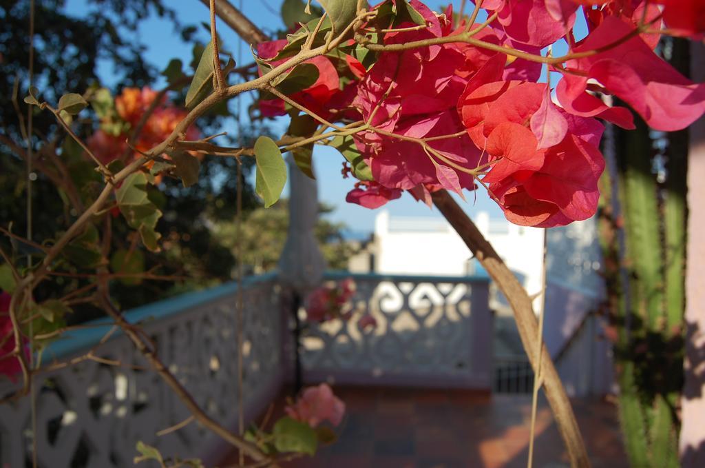 Casa Bella Mya Hotel Taganga Exterior foto
